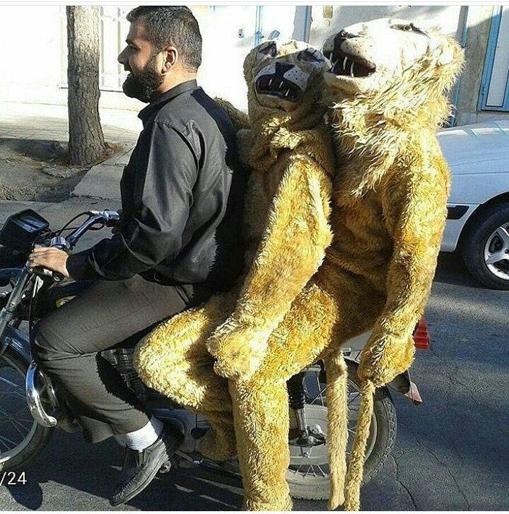 rezaaf69