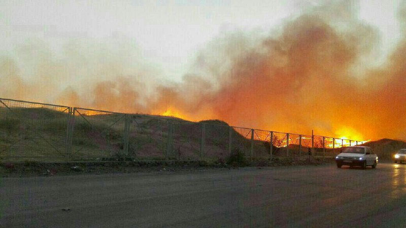 میراث‌نما