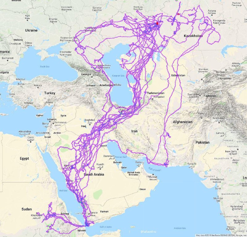 پاسخ نماینده منظقه حفاظت شده نارزوم در قزاقستان به فکت‌نامه