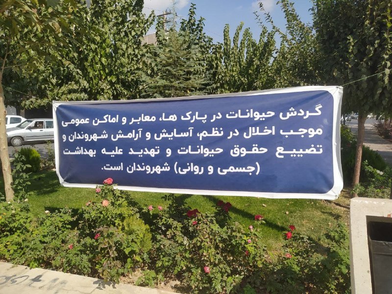 تصویر دریافتی با شرح