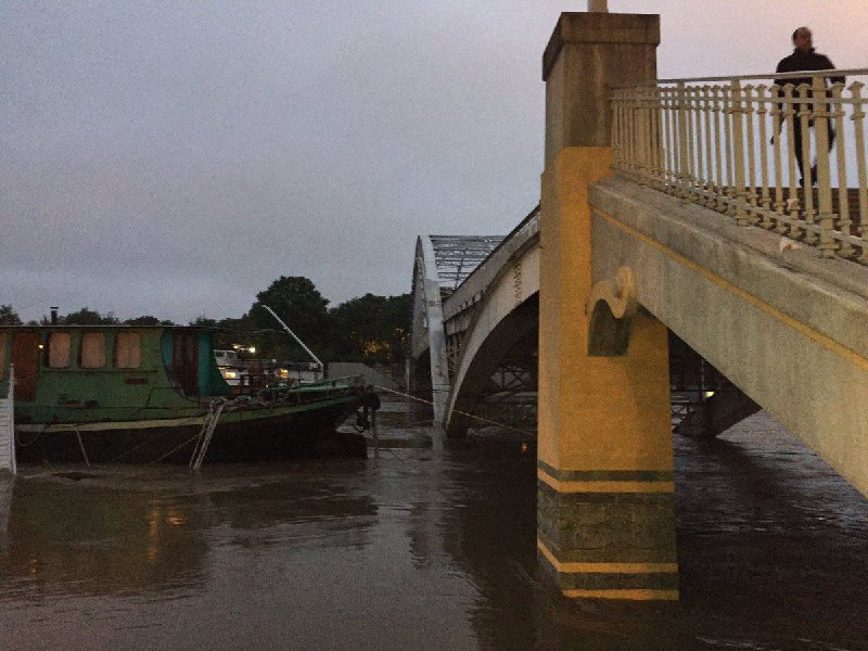 Niloofar Pourebrahim