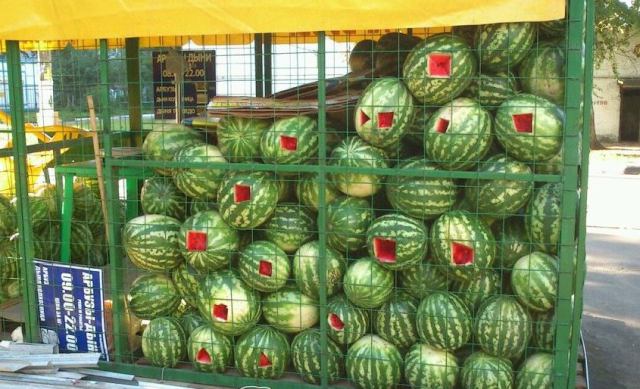 نسخه بریده‌ای شده‌ای از تصویربالا دست بدست میشه که اون تابلوهای غیرفارسی رو نداره@VahidOnlineBRoZ__ t.co/GVMHcs7vw9حماسه‌ای دیگرطرف #هندوانه هاش رو گذاشته تو قفس که ندزدند شب اومدن چاقو زدن خوردن