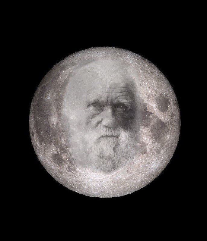 Shahin2065