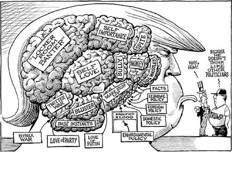 NeuroNiMa