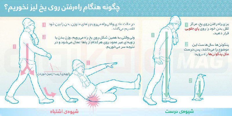چگونه هنگام #راه‌رفتن روی #یخ، #لیز نخوریم؟❄️🌨DigikalaMag
