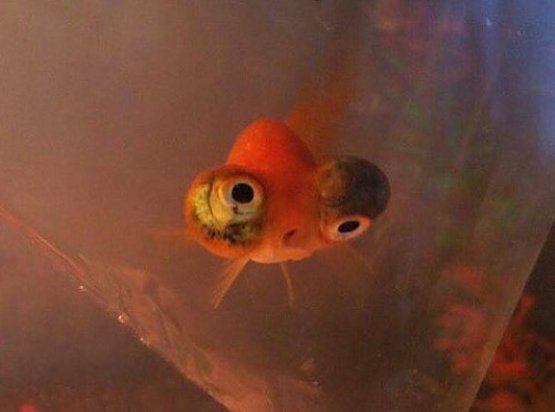 وقتی فیلم با #زیرنویس میبینمmemol_777