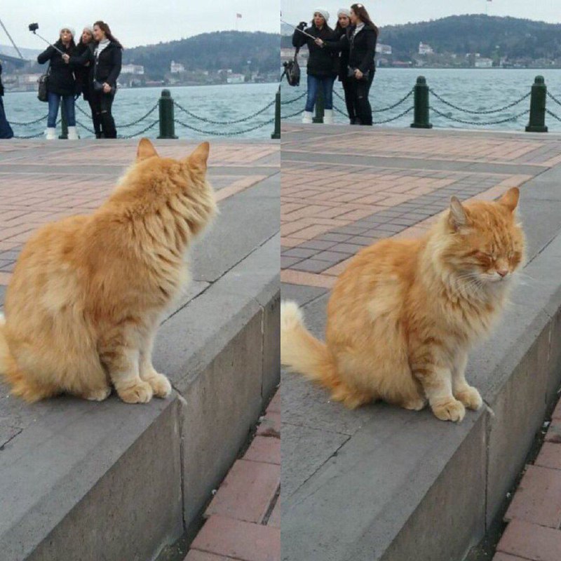 __horiyana___ حوریانا