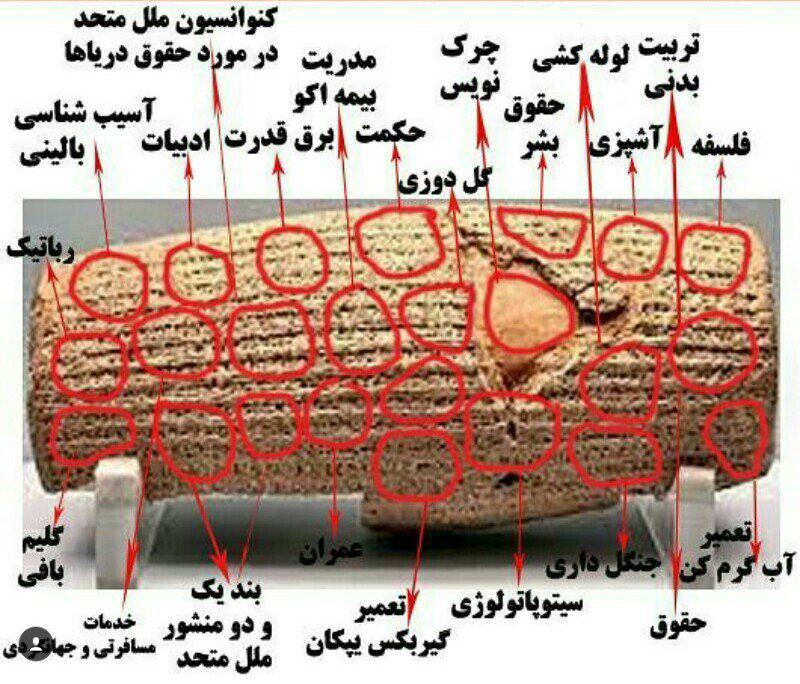 kazem_alireza