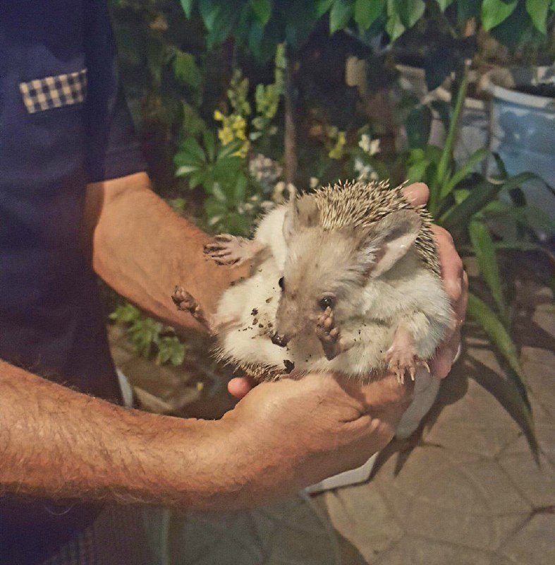 LaLa