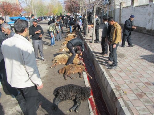 حقوق حیوانات در ایران