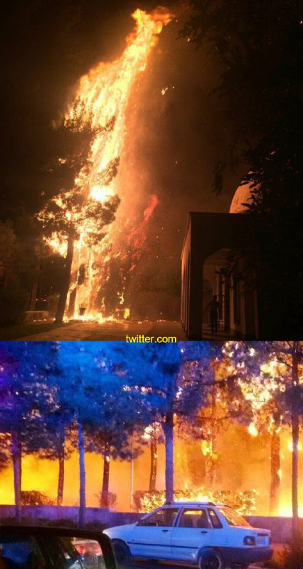 #آتش‌سوزی در پارک توحید #بیرجند/ حریق توسط آتش‌نشانان مهار شدFarsNews_Agency