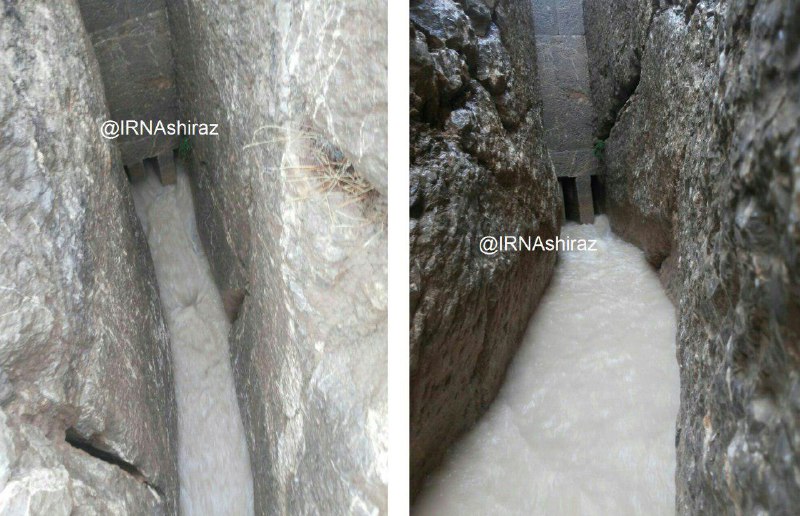 کلی توییت پرلایک با کپشن مشابه که نمی‌دونم چقدراعتبارداره