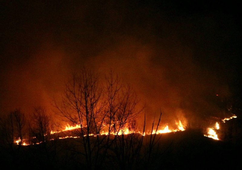 آتش‌سوزی در جنگلهای پره سر استان گیلان.و جنگل روستای «نارنج دول» #اسالم #تالشhamidjavanbakht ـ parehsarsabzایرنا