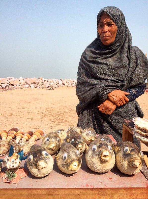 فوزیه تو جزیره #هرمز پای قلعه پرتغالیها سنگ شیطان و صدف و ماهی بادکنکی ترسیده ی خشک شده می‌فروشد. SahrasArtDolls