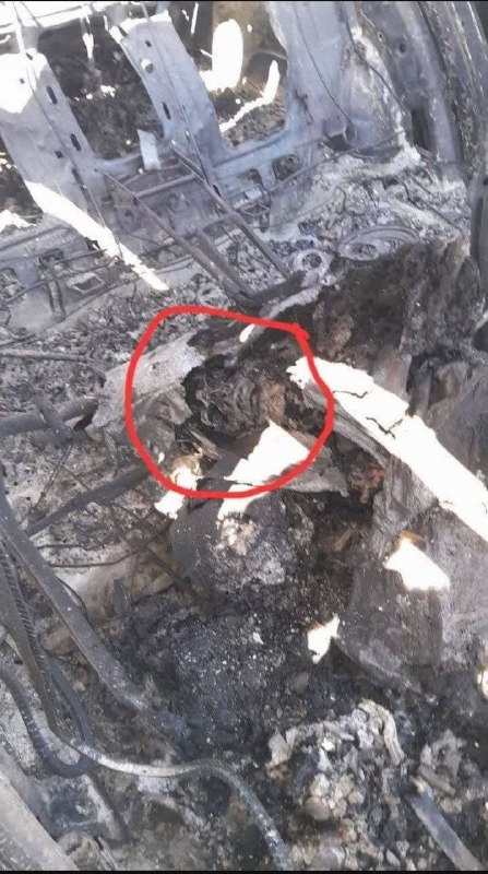 در پیام‌های دریافتی میگن 'منابع حکومتی  دارند عکس صندلی عقب یک خودروی سوخته رو با شرح جمجمه یک نظامی آمریکایی در هواپیمای منهدم شده' منتشر می‌کنند.یک 'صافکار' هم نوشت