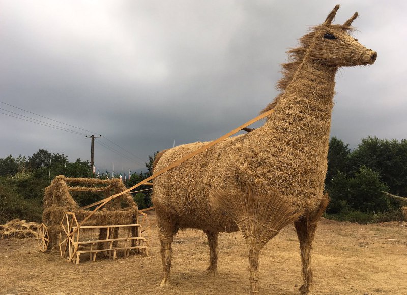 #جشن_برنج #گیلانvia fiureh