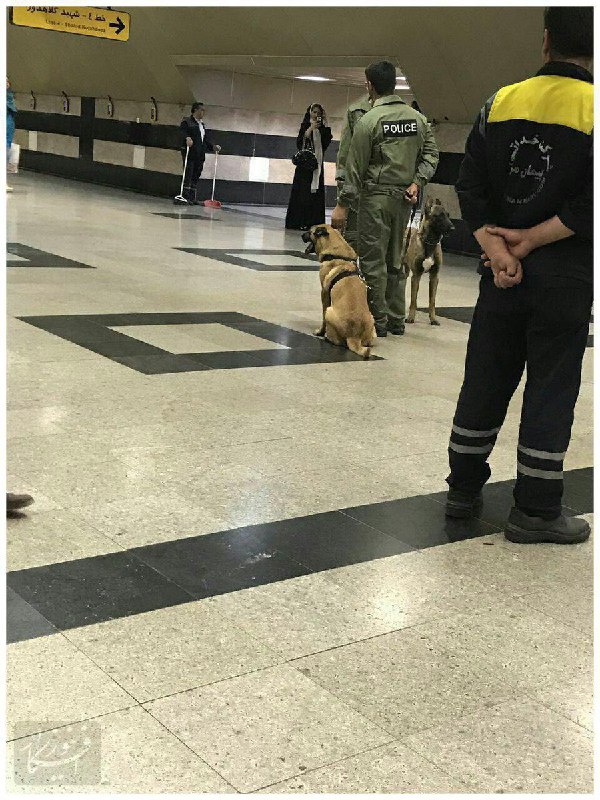 از تدابیر امنیتی امروز