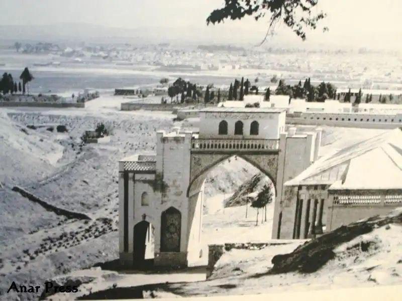 Nasser karami