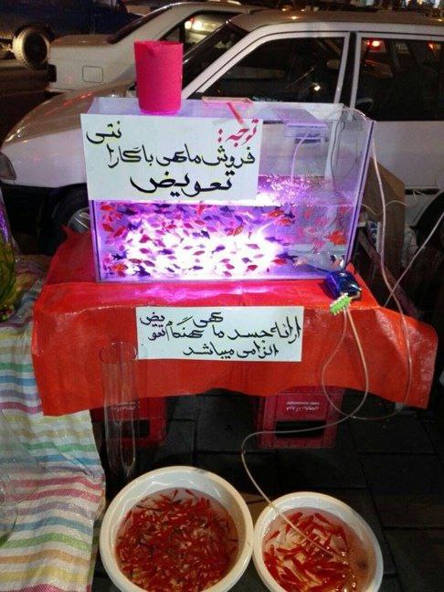 به اسم شهرهای مختلفی در اینستاگرام پخش شده با عنوان «ابتکار یک فروشنده #ماهی_قرمز»📡 @VahidOnline