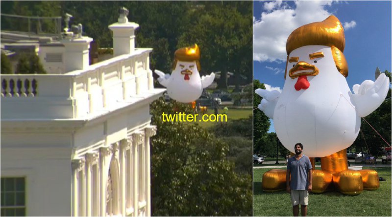 معترضین رفتن دم #کاخ_سفید یه #مرغ گنده شبیه #ترامپ رو باد کردند گذاشتن به کاخ سفید نگاه کنه 😂twitter.com/nimeshab/status/895395870681772033📡 @VahidOnline