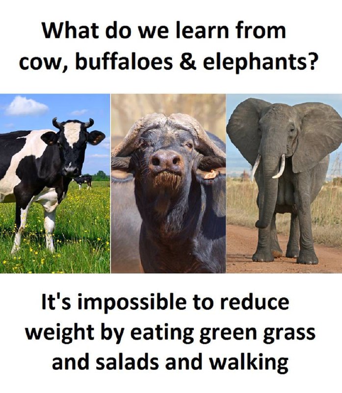 خب پس با خیال راحت بریم سراغ شیرینی‌ها 😂 RVahidian