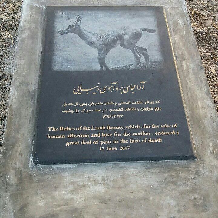 اولین #سنگ_قبر حیات وحش به همت آقای حصاری Gonge_bikhaab