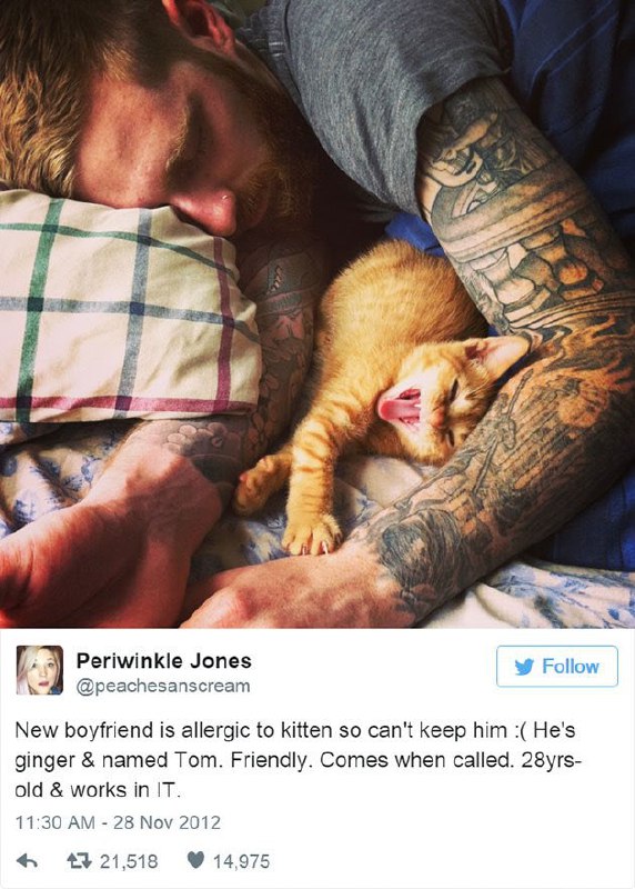 دوست‌پسر جدیدم به #گربه آلرژی داره، نمی‌تونم نگهش دارم. موهاش نارنجیه، اسمش تامه. خوش‌رفتاره و صداش کنی میاد. ۲۸ سالشه و آی‌تی کاره.parishadokht