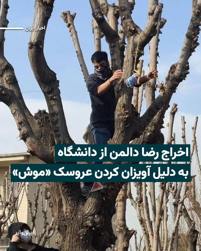 انجمن اسلامی دانشجویان دانشگاه صنعتی شریف با صدور اطلاعیه ‌ای از اعمال نخستین حکم اخراج یک دانشجو توسط شورای انضباطی این دانشگاه خبر داد.به این ترتیب، رضا دالمن، دانشجوی کارشناسی ارشد مهندسی کامپیوتر، به اخراج و محرومیت از تحصیل در تمام دانشگاه‌ها به مدت چهار سال محکوم شده است.انجمن اسلامی دانشجویان دانشگاه صنعتی شریف اعلام کرد که آقای دالمن با وجود تبرئه از سوی دستگاه قضایی، از سوی شورای انضباطی دانشگاه با این حکم سنگین روبه‌رو شده است.این انجمن یادآور شد که حکم اخراج دانشجوی فوق برای تأیید به وزارت علوم ارسال و در روزهای اخیر نیز حداقل برای یک دانشجوی دیگر نیز حکم «بدوی اخراج» صادر شده است.رضا دالمن، در ۲۸ اسفند سال ۱۴۰۴ و در اوج جنگ ۴۰ روزه از سوی نهادهای امنیتی بازداشت و پس از یک ماه با قرار وثیقه آزاد شده بود.@VahidHeadlineپیش‌تر گزارش‌هایی منتشر شده بود که یکی از دلایل بازداشت او، آویختن یک عروسک موش از درختی در محوطه دانشگاه عنوان شده بود؛ اقدامی که در فضای اعتراضی آن زمان، با اشاره به لقبی که برخی معترضان برای علی خامنه‌ای به‌کار می‌بردند، انجام شده بود.@VahidHeadline📡 @VahidOnlineانجمن اسلامی دانشجویان دانشگاه صنعتی شریف با صدور اطلاعیه ‌ای از اعمال نخستین حکم اخراج یک دانشجو توسط شورای انضباطی این دانشگاه خبر داد.به این ترتیب، رضا دالمن، دانشجوی کارشناسی ارشد مهندسی کامپیوتر، به اخراج و محرومیت از تحصیل در تمام دانشگاه‌ها به مدت چهار سال محکوم شده است.انجمن اسلامی دانشجویان دانشگاه صنعتی شریف اعلام کرد که آقای دالمن با وجود تبرئه از سوی دستگاه قضایی، از سوی شورای انضباطی دانشگاه با این حکم سنگین روبه‌رو شده است.این انجمن یادآور شد که حکم اخراج دانشجوی فوق برای تأیید به وزارت علوم ارسال و در روزهای اخیر نیز حداقل برای یک دانشجوی دیگر نیز حکم «بدوی اخراج» صادر شده است.رضا دالمن، در ۲۸ اسفند سال ۱۴۰۴ و در اوج جنگ ۴۰ روزه از سوی نهادهای امنیتی بازداشت و پس از یک ماه با قرار وثیقه آزاد شده بود.@VahidHeadlineپیش‌تر گزارش‌هایی منتشر شده بود که یکی از دلایل بازداشت او، آویختن یک عروسک موش از درختی در محوطه دانشگاه عنوان شده بود؛ اقدامی که در فضای اعتراضی آن زمان، با اشاره به لقبی که برخی معترضان برای علی خامنه‌ای به‌کار می‌بردند، انجام شده بود.@VahidHeadline📡 @VahidOnline