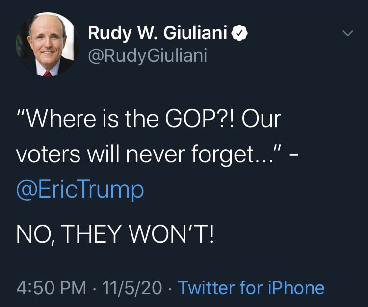 وکیل شخصی و پسر ترامپ شاکی اند که