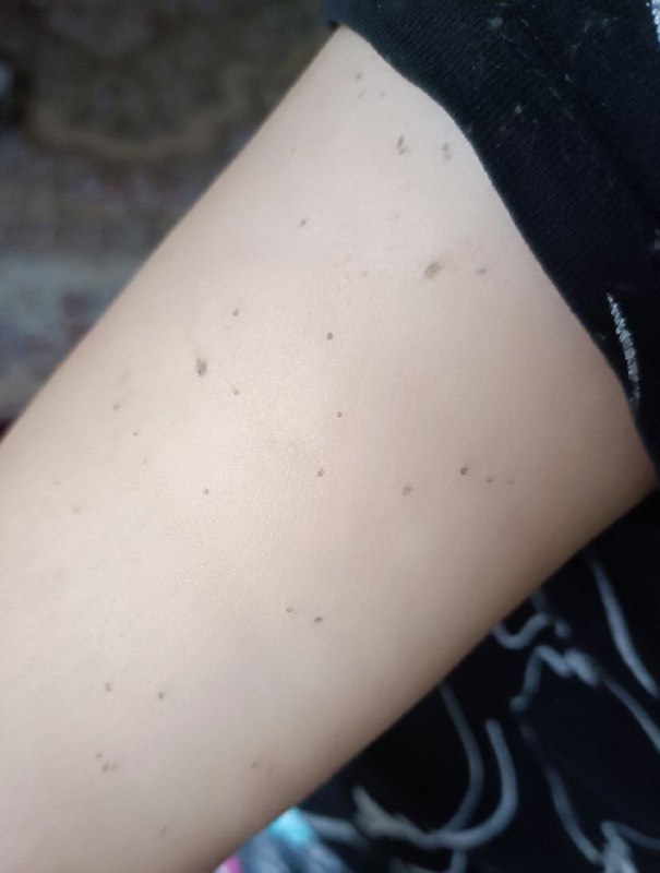 پیام‌های دریافتی بررسی نشده درباره وقایع ساعت‌های گذشته امروز خوزستان که ممکنه بعضی‌هاشون درست یا نادرست باشند