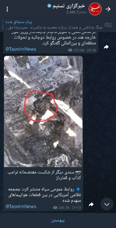 در پیام‌های دریافتی میگن 'منابع حکومتی  دارند عکس صندلی عقب یک خودروی سوخته رو با شرح جمجمه یک نظامی آمریکایی در هواپیمای منهدم شده' منتشر می‌کنند.یک 'صافکار' هم نوشت