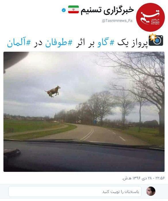 تهران داره از آسمون #بادمجون می‌باره،مراقب باشید بدون شلوار نریدبیرونgholamrezaBdardروغن بنفشه‌ها رو خوب بمالیدchimigiiهوای امروز نیمه‌ابری با کمی #بادمجان پراکندهmammuotتیتر کیهان فردا