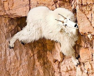 #وقتی میگن تو که شرایطت خوبه، چرا #ازدواج نمی‌کنی؟!sinadramatic