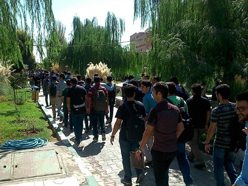 _Farhaneh_