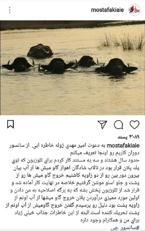 #مصطفی_کیایی گفته صحنه خروج گاومیش‌ها از پشت رو #صداوسیما سال ۸۳ #سانسور کرده، چون #تحریک کننده بوده؛توجه کنید خروج #گاومیش ها از پشت!چه جذاب.چه #سکسی!sari_soltan📡 @VahidOnline