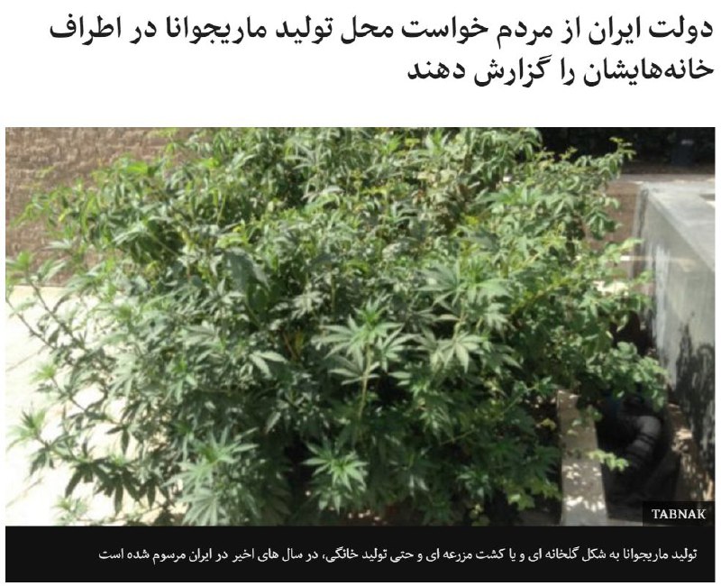 bbcpersian