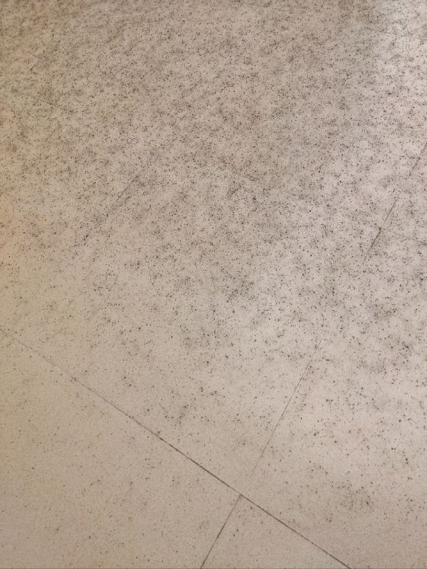 پیام‌های دریافتی بررسی نشده درباره وقایع ساعت‌های گذشته امروز خوزستان که ممکنه بعضی‌هاشون درست یا نادرست باشند