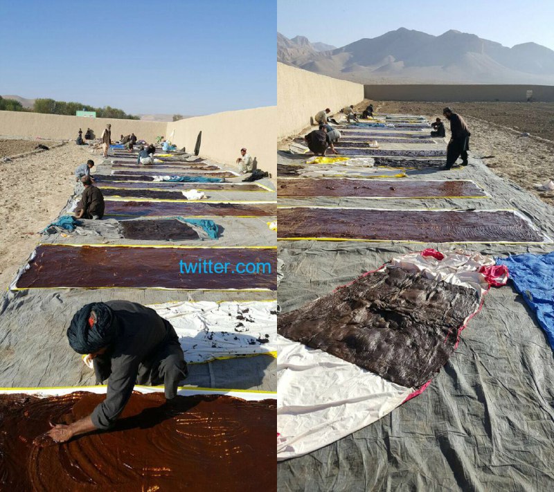 SadraMohaqeq