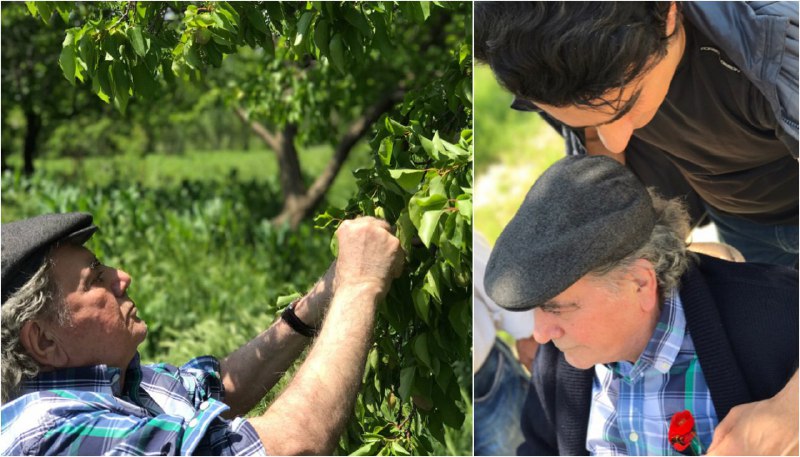 #همایون #شجریان این عکس‌ها را در اینستاگرامش گذاشته و نوشته #هشتگرد است.maryam_zohdi