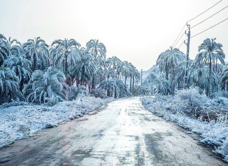 #برف در #بوشهرعکس