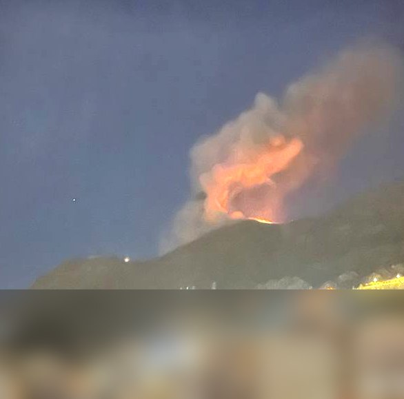 تصاویر دریافتی