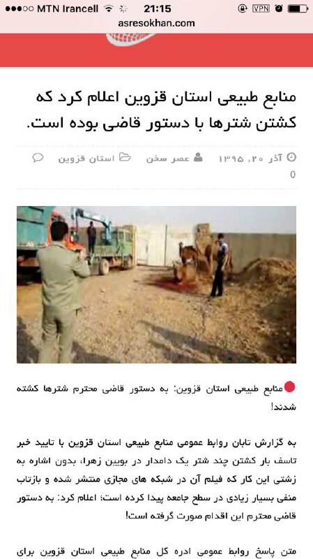 اداره محیط زیست #قزوین شکایت کرد چرای غیرقانونی شترها باعث بیابان‌زایی و خشکسالی شده، #قاضی حکم به مجازات #شتر ها و کشتارشون دادhoghooghyar