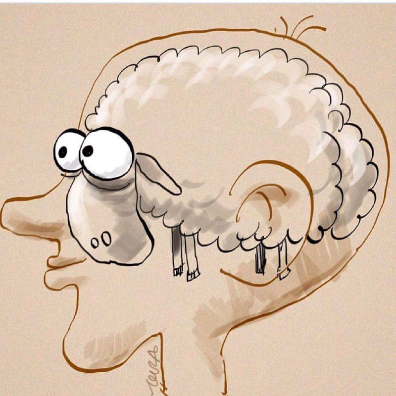 #بزرگمهر حسين‌پور