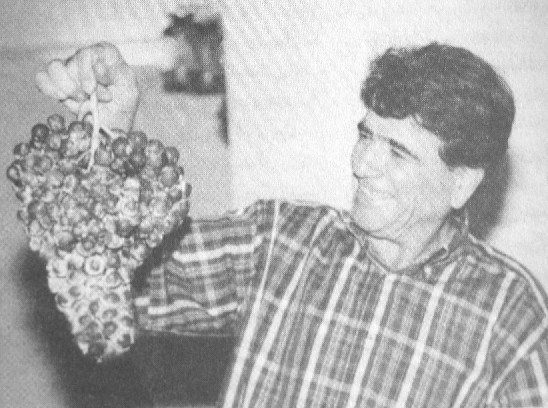 اوکی،پس من یه خوشه #انگور ورمیدارمmaahsaane