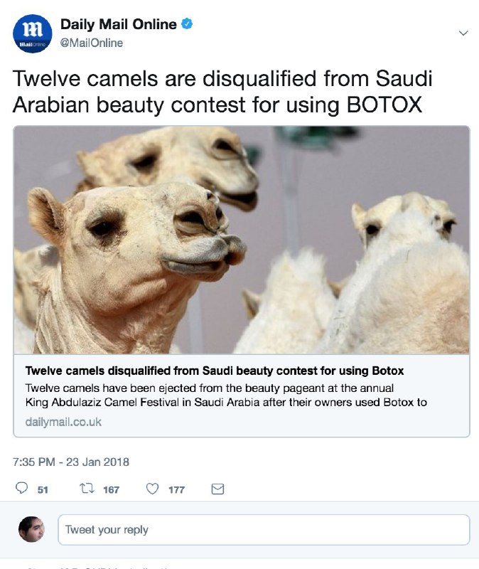 ۱۲ نفر #شتر به دلیل انجام عمل زیبایی #بوتاکس، از حضور در «مسابقات شترهای زیبای #عربستان» محروم شدند! manafi08