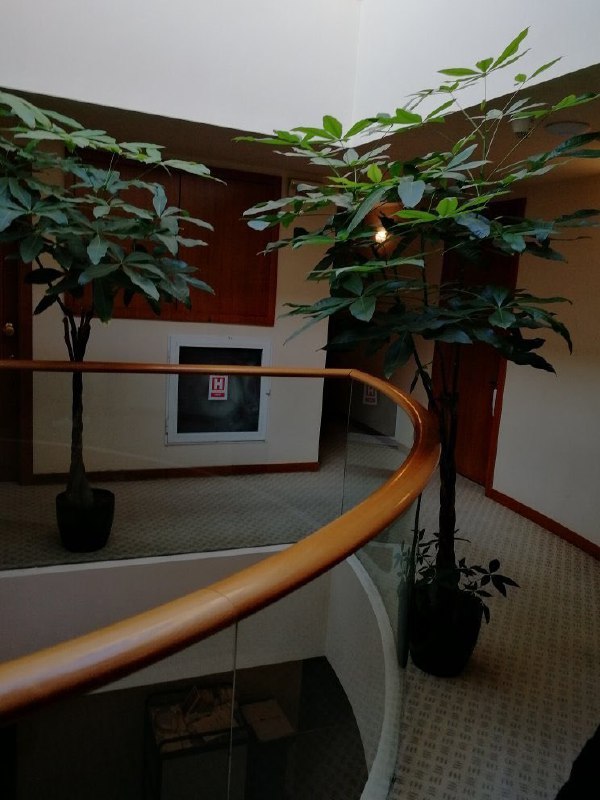 جسد #غلامرضا_منصوری در داخل هتل دوک پیدا شده چون در داخل هتل هم امکان سقوط هست.KamranMalekpourتناقضات عجیبی وجود دارد. پلیس بخارست به ادلینا رادولسکو خبرنگار رادیو آزادی گفته بود قاضی منصوری از پنجره هتل پرت شده.ویدیوها نشان می دهد جسد را از داخل به بیرون می آورند. حالا پلیس گفته جسد، داخل هتل در لابی پیدا شده.مسئولان هتل هم حرف نمی زنند! MahdaviAzadداخل هتل دوربین نداره؟H_luigiهروقت تصاویر دوربین‌های هتل محل اقامت پسر محسن رضایی اومد این هم میاد.mrmasktm📡 @VahidOnlineجسد #غلامرضا_منصوری در داخل هتل دوک پیدا شده چون در داخل هتل هم امکان سقوط هست.KamranMalekpourتناقضات عجیبی وجود دارد. پلیس بخارست به ادلینا رادولسکو خبرنگار رادیو آزادی گفته بود قاضی منصوری از پنجره هتل پرت شده.ویدیوها نشان می دهد جسد را از داخل به بیرون می آورند. حالا پلیس گفته جسد، داخل هتل در لابی پیدا شده.مسئولان هتل هم حرف نمی زنند! MahdaviAzadداخل هتل دوربین نداره؟H_luigiهروقت تصاویر دوربین‌های هتل محل اقامت پسر محسن رضایی اومد این هم میاد.mrmasktm📡 @VahidOnline