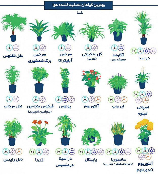 بی‌بی‌سی
