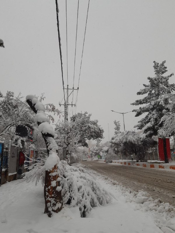 تصاویر دریافتی از شهروندان #بجنورد، #برف آخر سالی در خراسان شمالی!ویدیوی1️⃣