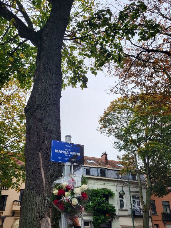 شهرداری منطقه Etterbeek در بروکسل #بلژیک یک میدان را به نام #مهسا_امینی نام‌گذاری کردVahidقبلا نوشته بودم خیابان. میدان درست بود.📡 @VahidOnlineشهرداری منطقه Etterbeek در بروکسل #بلژیک یک میدان را به نام #مهسا_امینی نام‌گذاری کردVahidقبلا نوشته بودم خیابان. میدان درست بود.📡 @VahidOnline