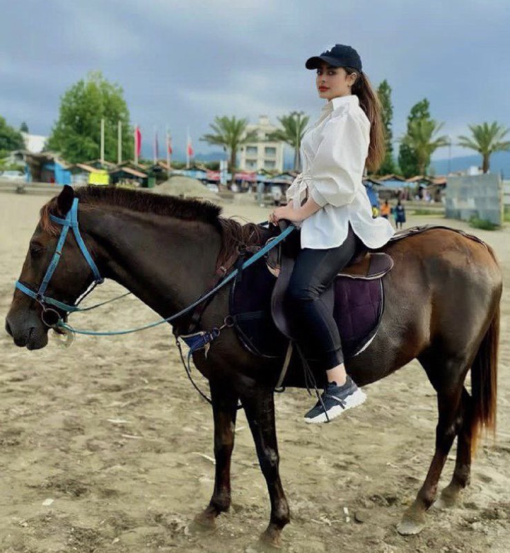 کانال شوراهای صنفی دانشجویان کشور